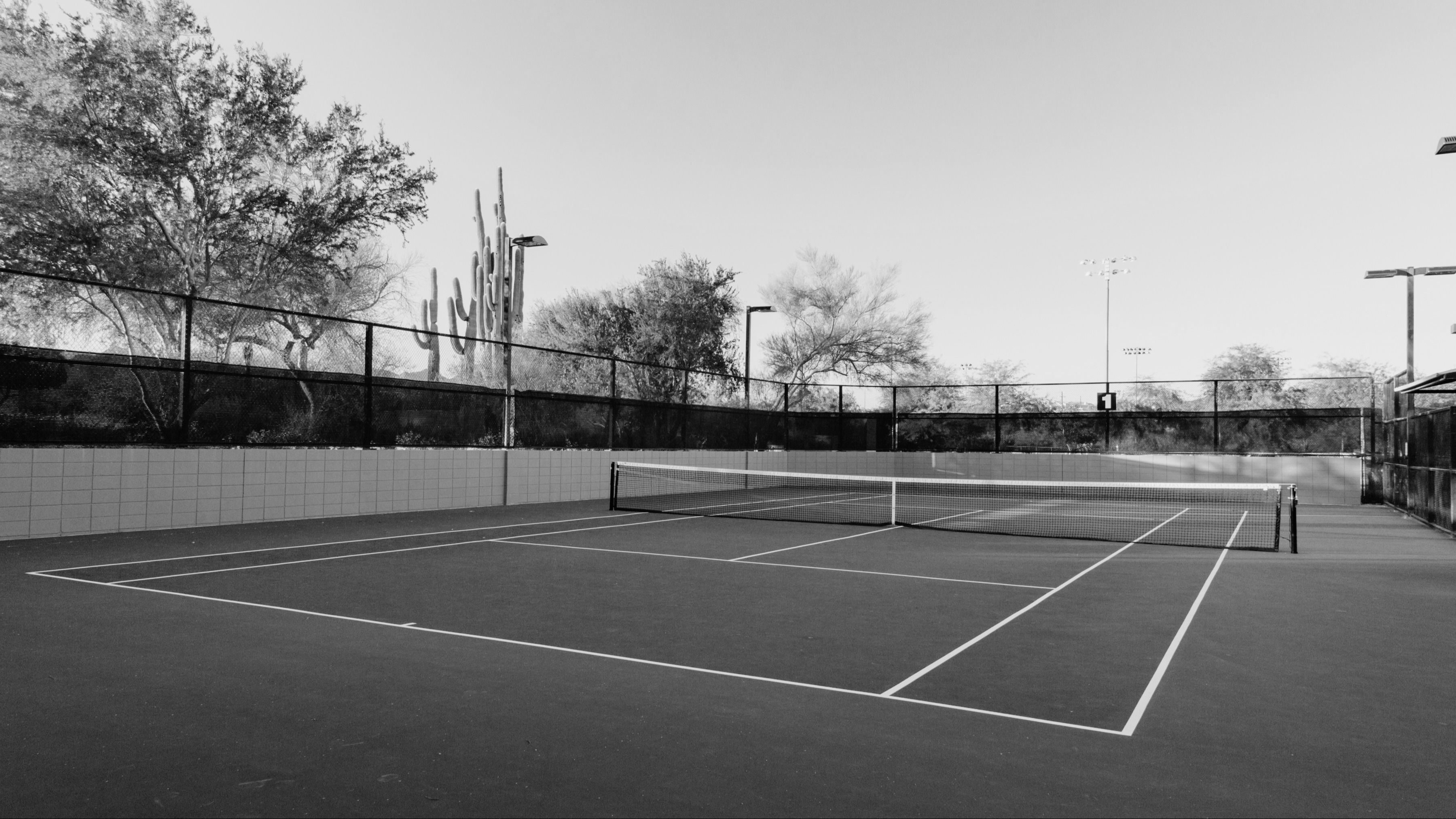 tennis